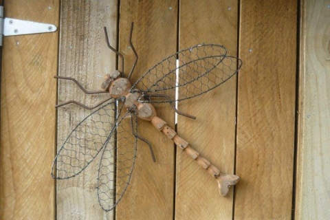 Turere Dragon Fly