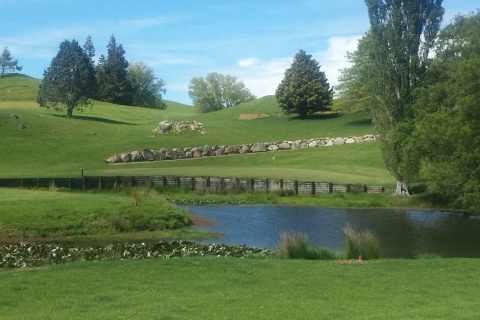 Piopio Aria Golf Club